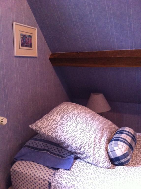 Les Vieux Guays Bed & Breakfast Cerdon  Luaran gambar
