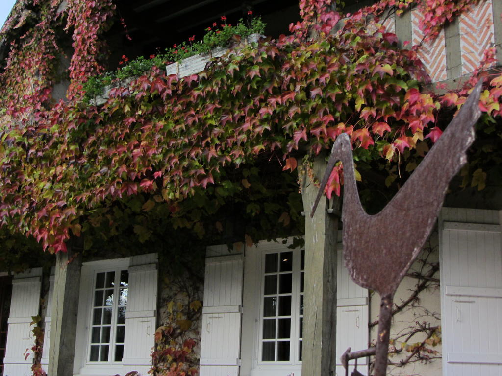 Les Vieux Guays Bed & Breakfast Cerdon  Luaran gambar